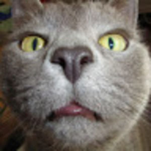 Meet your Posher, Mara